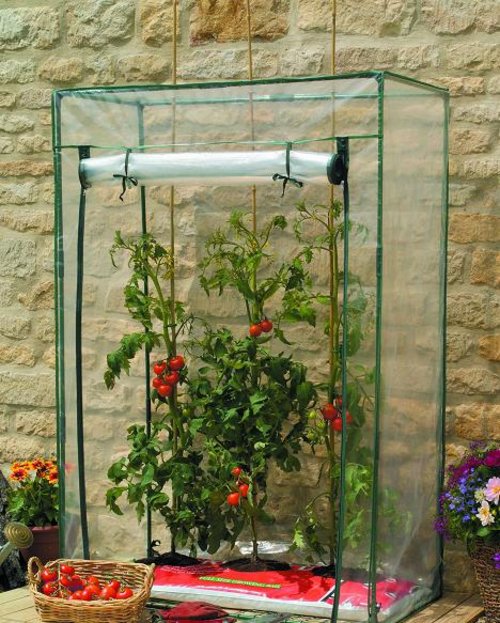 Kweekkas voor oa tomaten 100x50x150cm